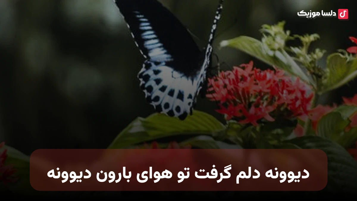دیوونه دلم گرفت تو هوای بارون دیوونه با صدای زن
